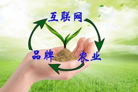 “互联网+农业+品牌”等于什么？