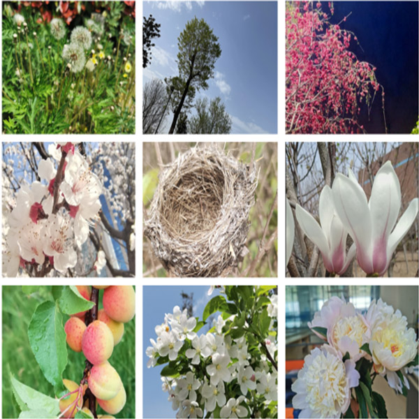 滕润翔“向上的力量，怒放的生命”主题活动落地  